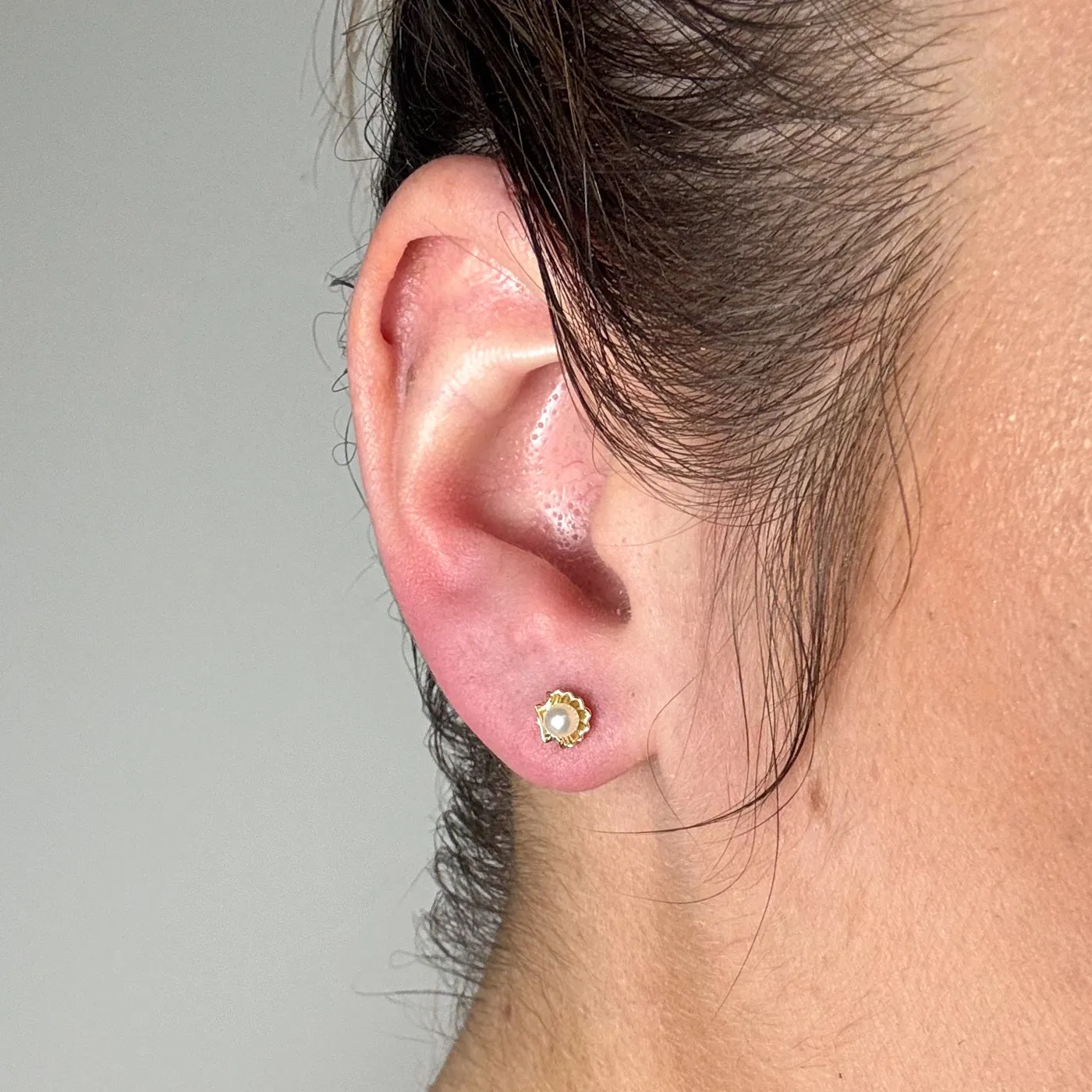 100 Ways Jewelry 100 Ways' Freshwater Pearl in Shell Stud Earrings