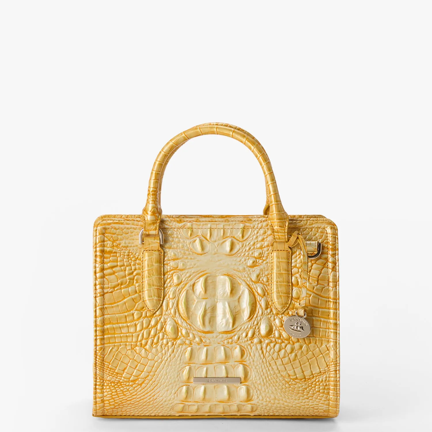 Cami Bags Brahmin Satchels
