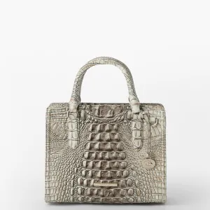 Cami Bags Brahmin Satchels