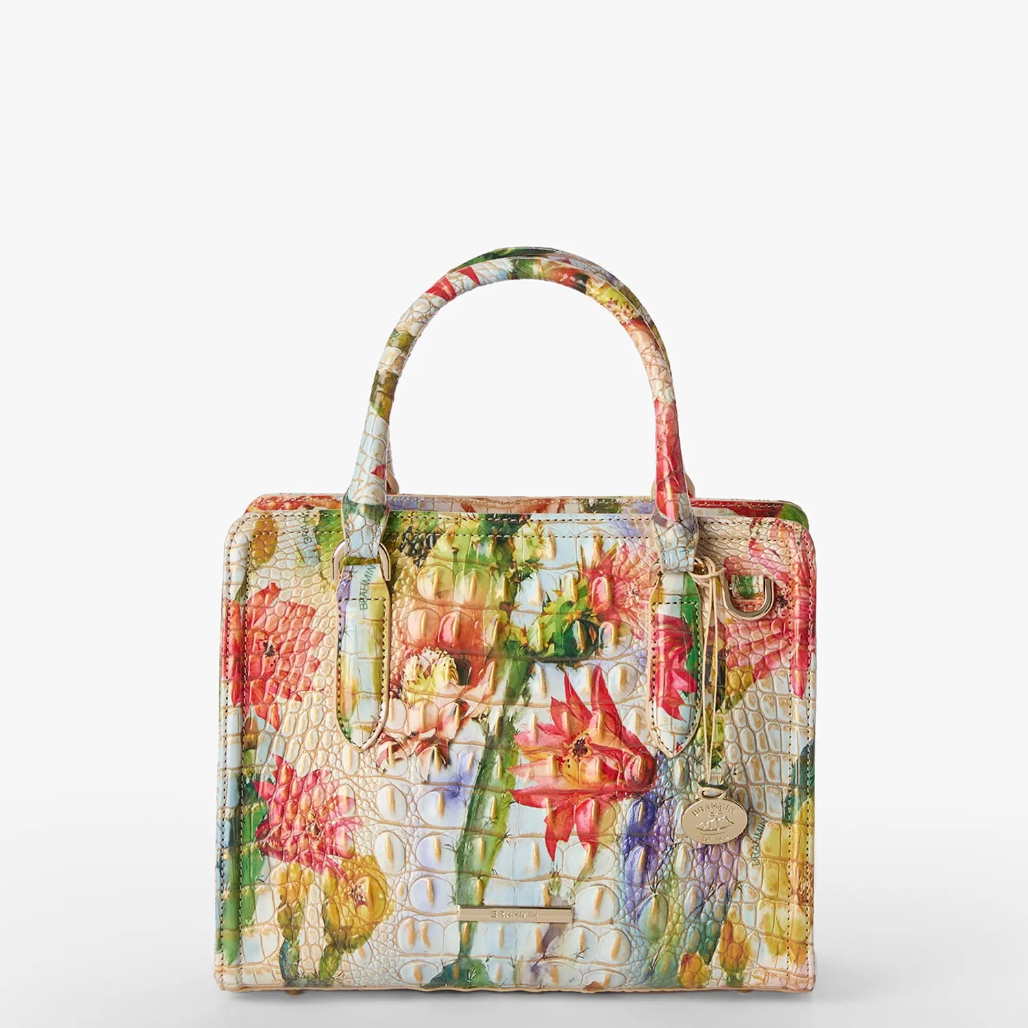 Cami Bags Brahmin Satchels