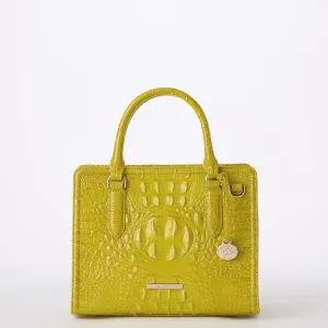 Cami Bags Brahmin Satchels