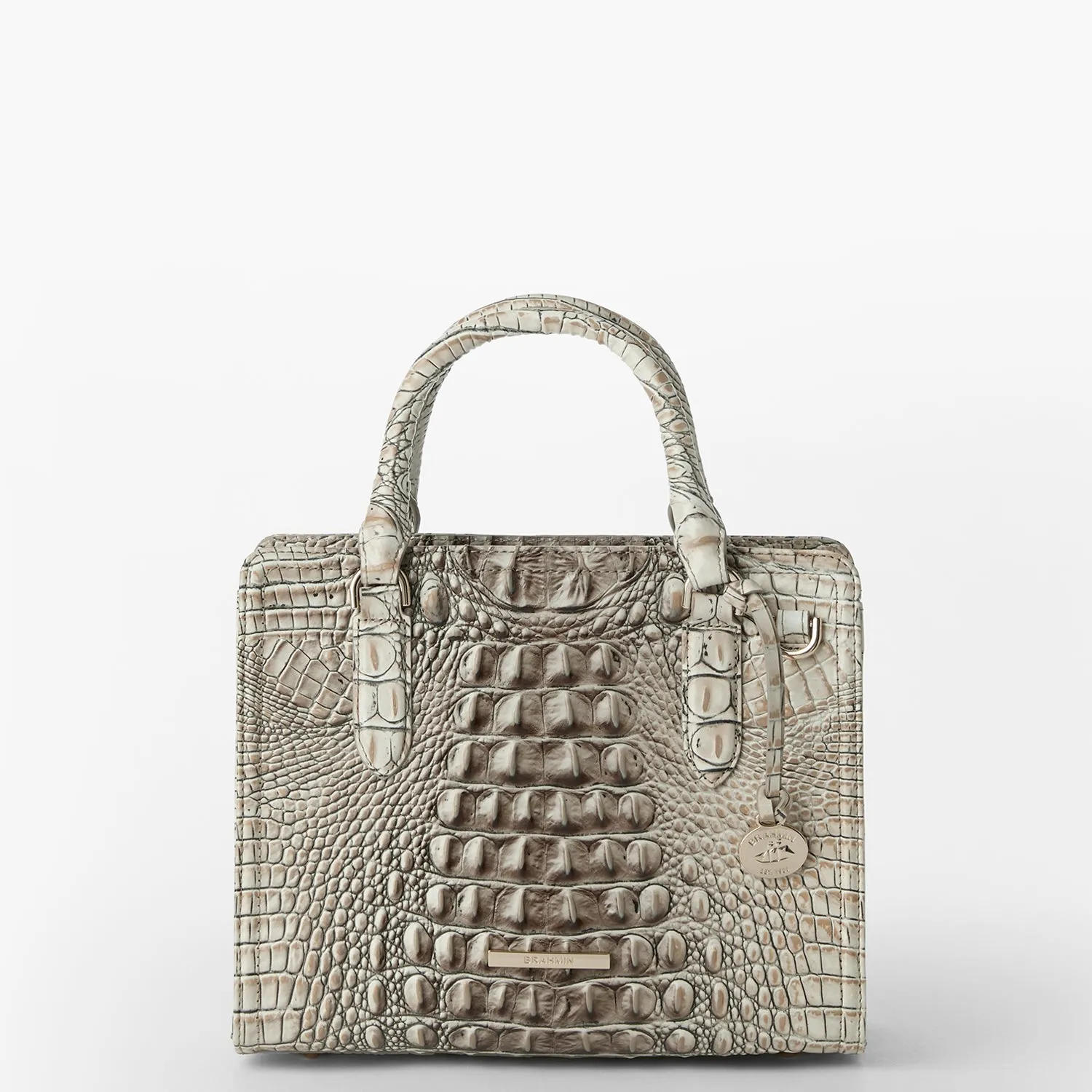 Cami Bags Brahmin Satchels
