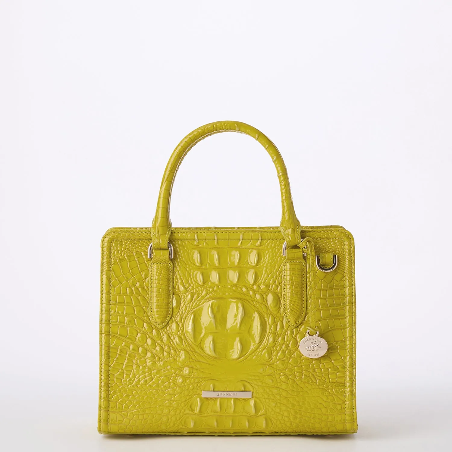 Cami Bags Brahmin Satchels
