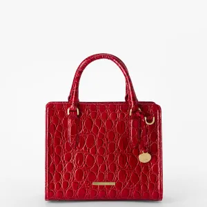 Cami Bags Brahmin Satchels