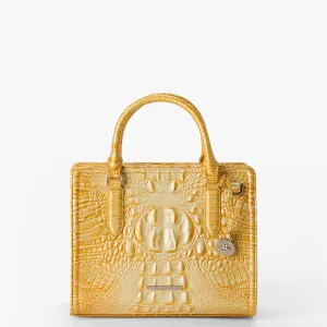 Cami Bags Brahmin Satchels