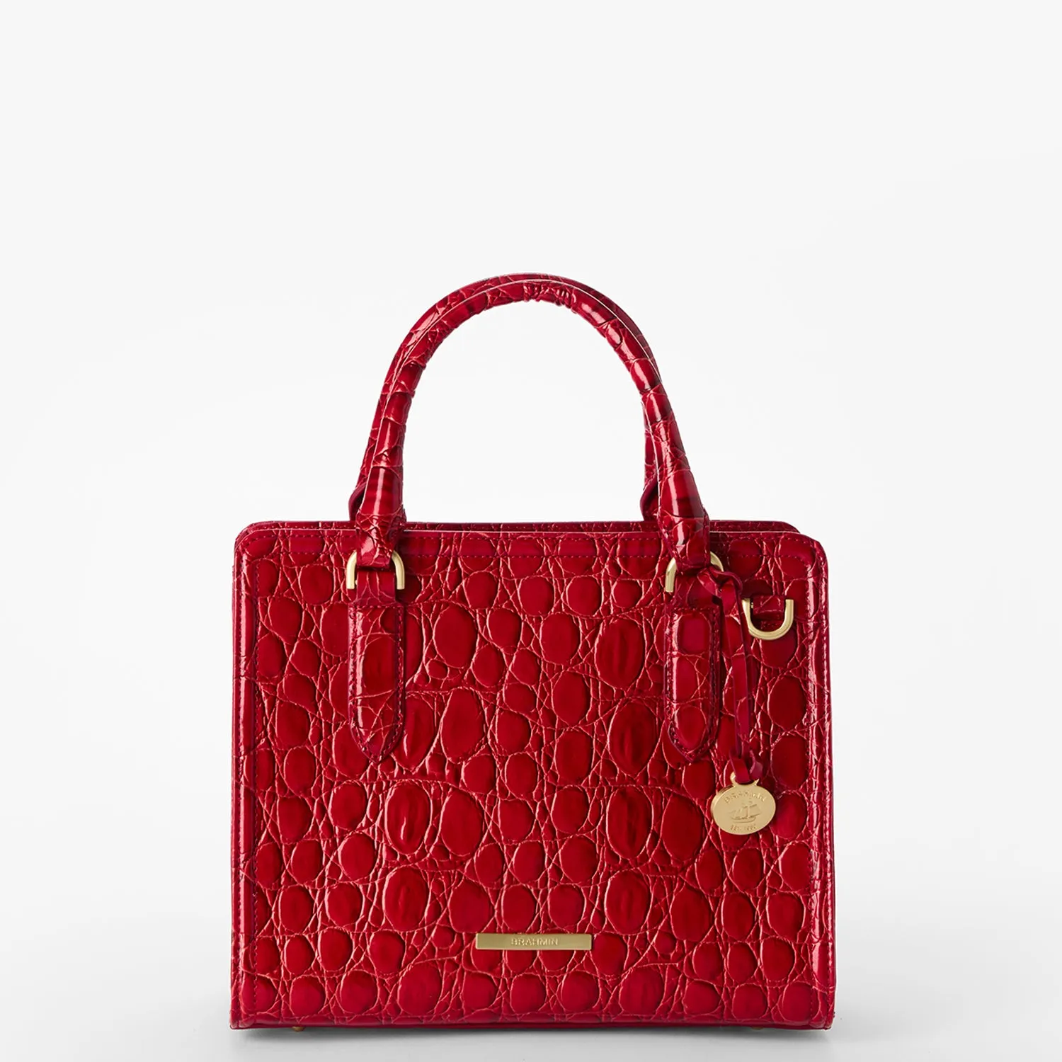 Cami Bags Brahmin Satchels
