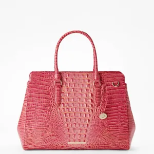 Finley Carryall Bags Brahmin Satchels