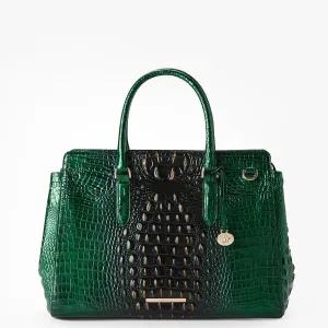 Finley Carryall Bags Brahmin Totes Carryalls