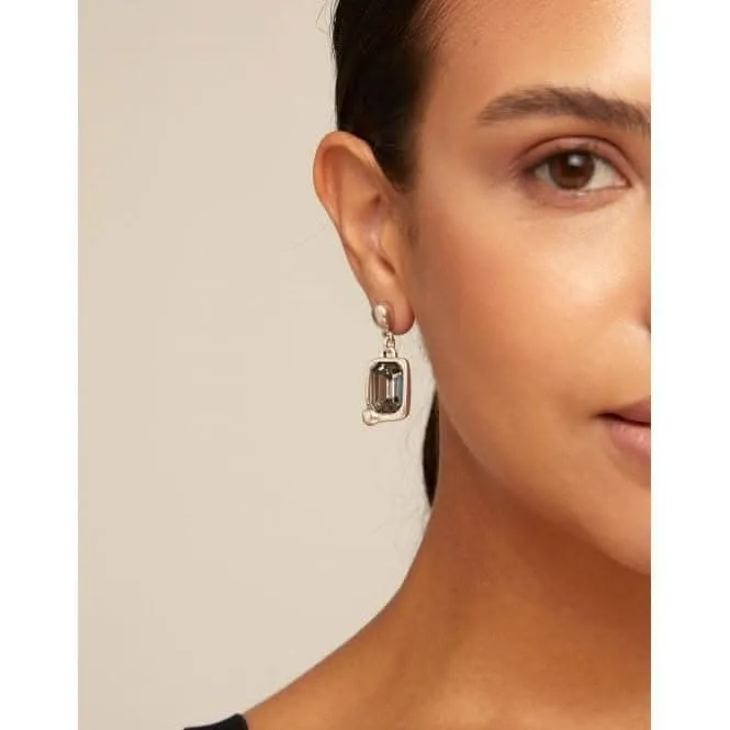 Marvellous Grey Faceted Crystal Earrings Unode50 Jewelry And Accessories