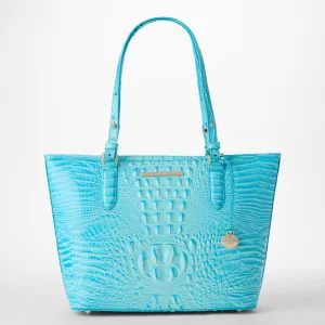 Medium Asher Bags Brahmin Totes Carryalls
