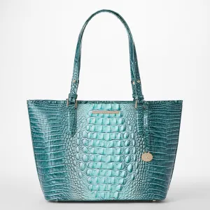 Medium Asher Bags Brahmin Totes Carryalls