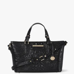 Mini Asher Bags Brahmin Satchels