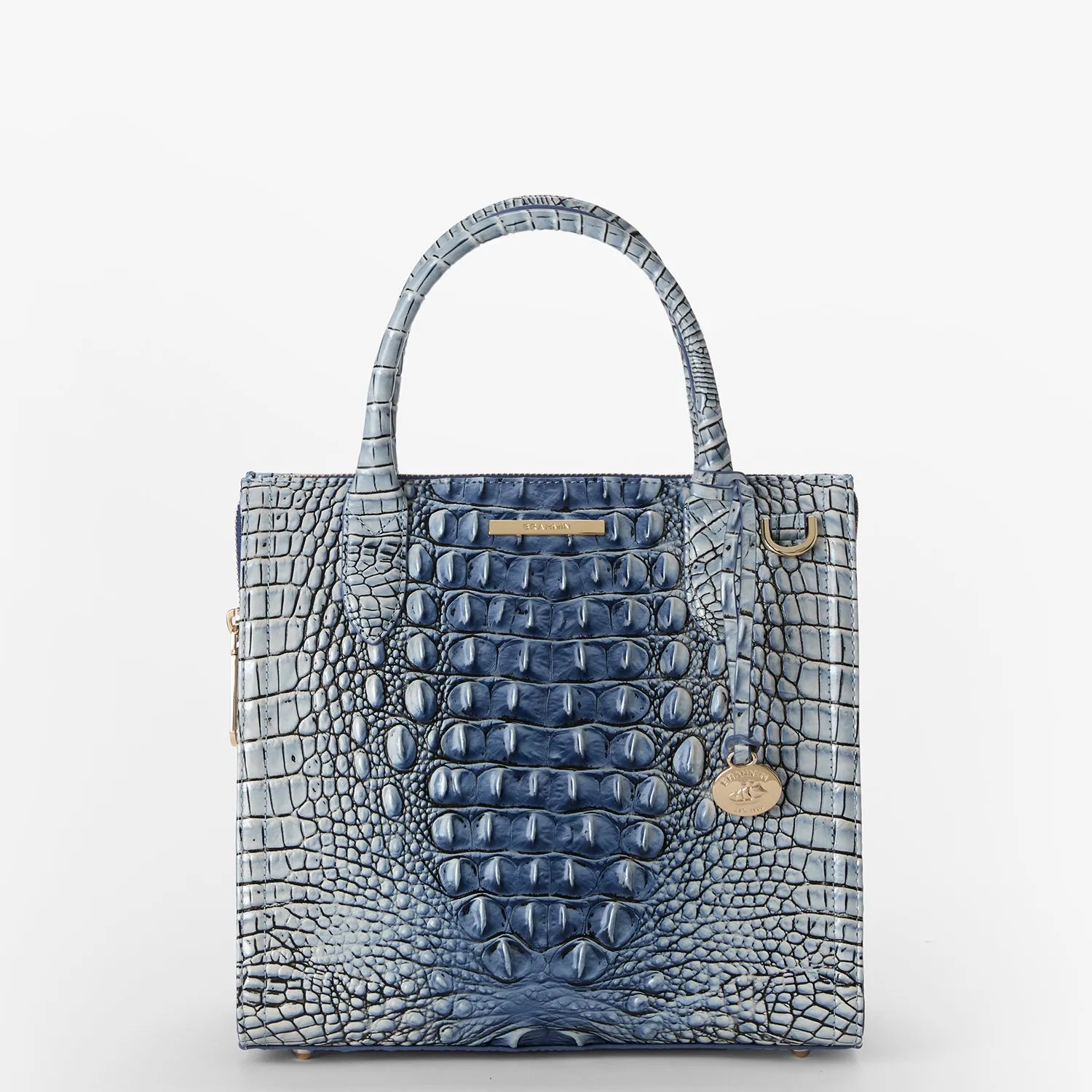 Small Caroline Bags Brahmin Satchels