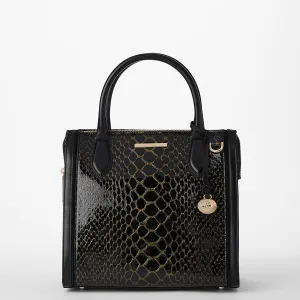 Small Caroline Bags Brahmin Satchels