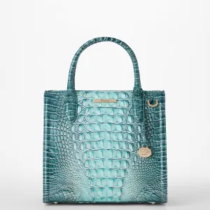 Small Caroline Bags Brahmin Satchels