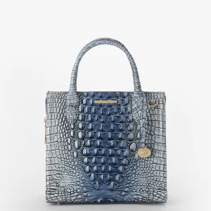 Small Caroline Bags Brahmin Satchels