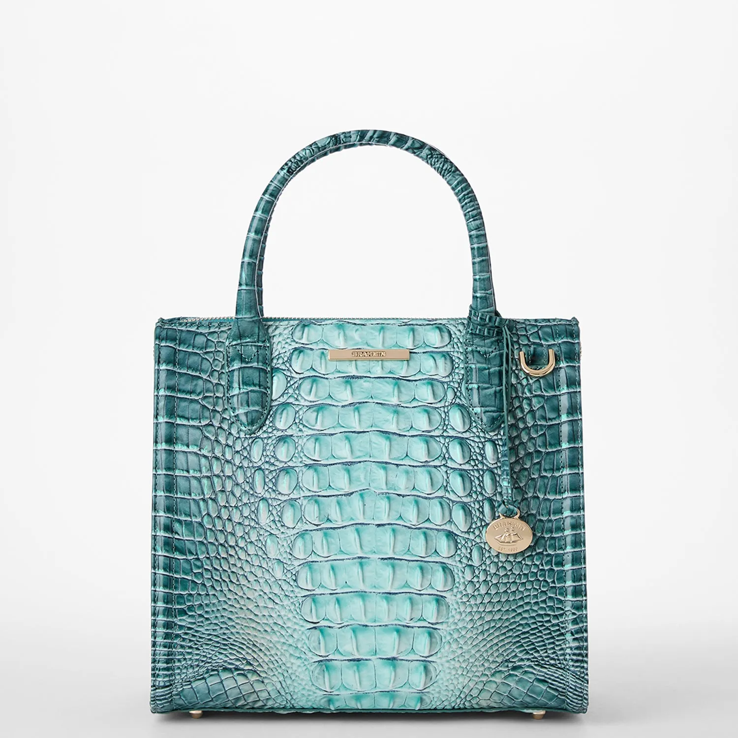 Small Caroline Bags Brahmin Satchels