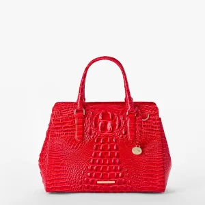 Small Finley Bags Brahmin Totes Carryalls
