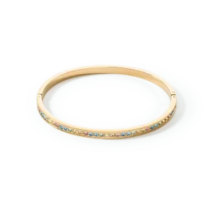 Stainless Steel Crystal Glass Multicolour Pastel Gold Bangle 0127/37-1590 Coeur De Lion Jewellery