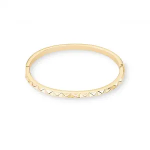 Stainless Steel Gold Bracelet 0135/32-1600 Coeur De Lion Jewellery