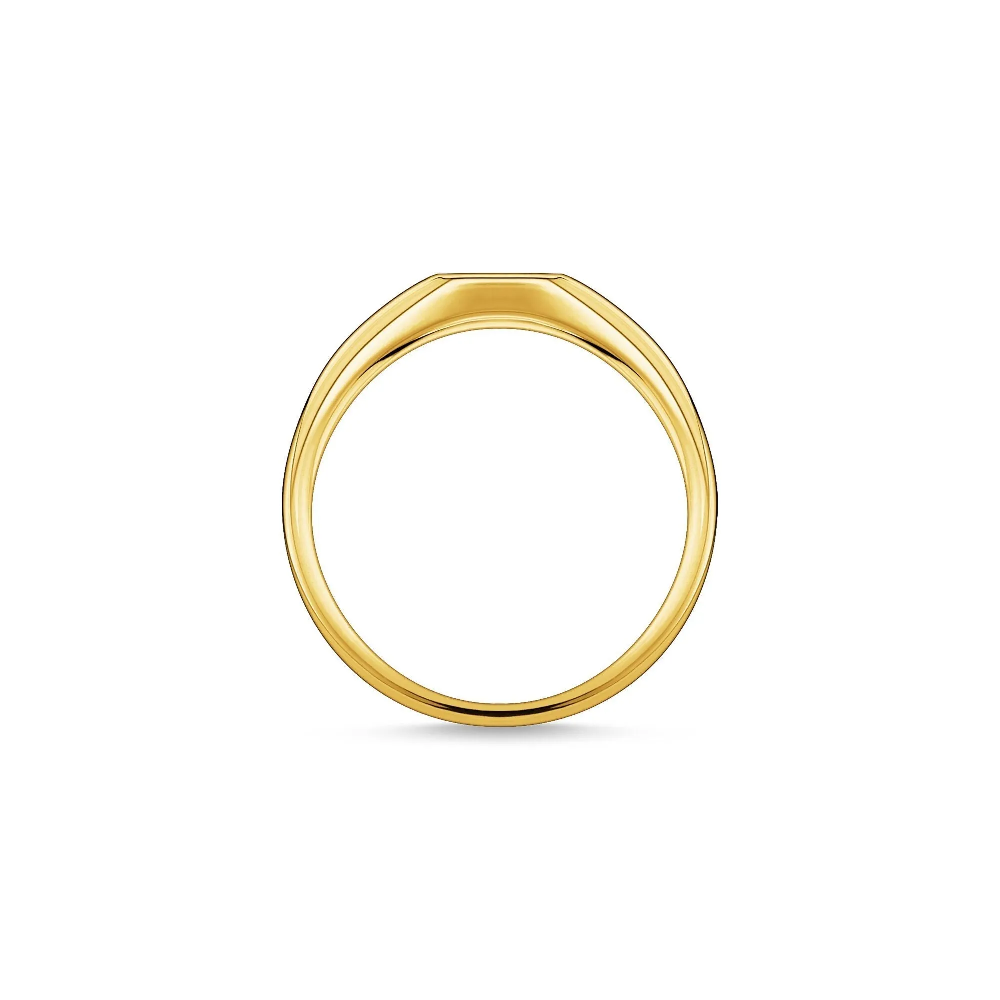 Thomas Sabo Jewellery Thomas Sabo Charm Club Sterling Silver Yellow Gold Plated CZ Star Engraved Ring