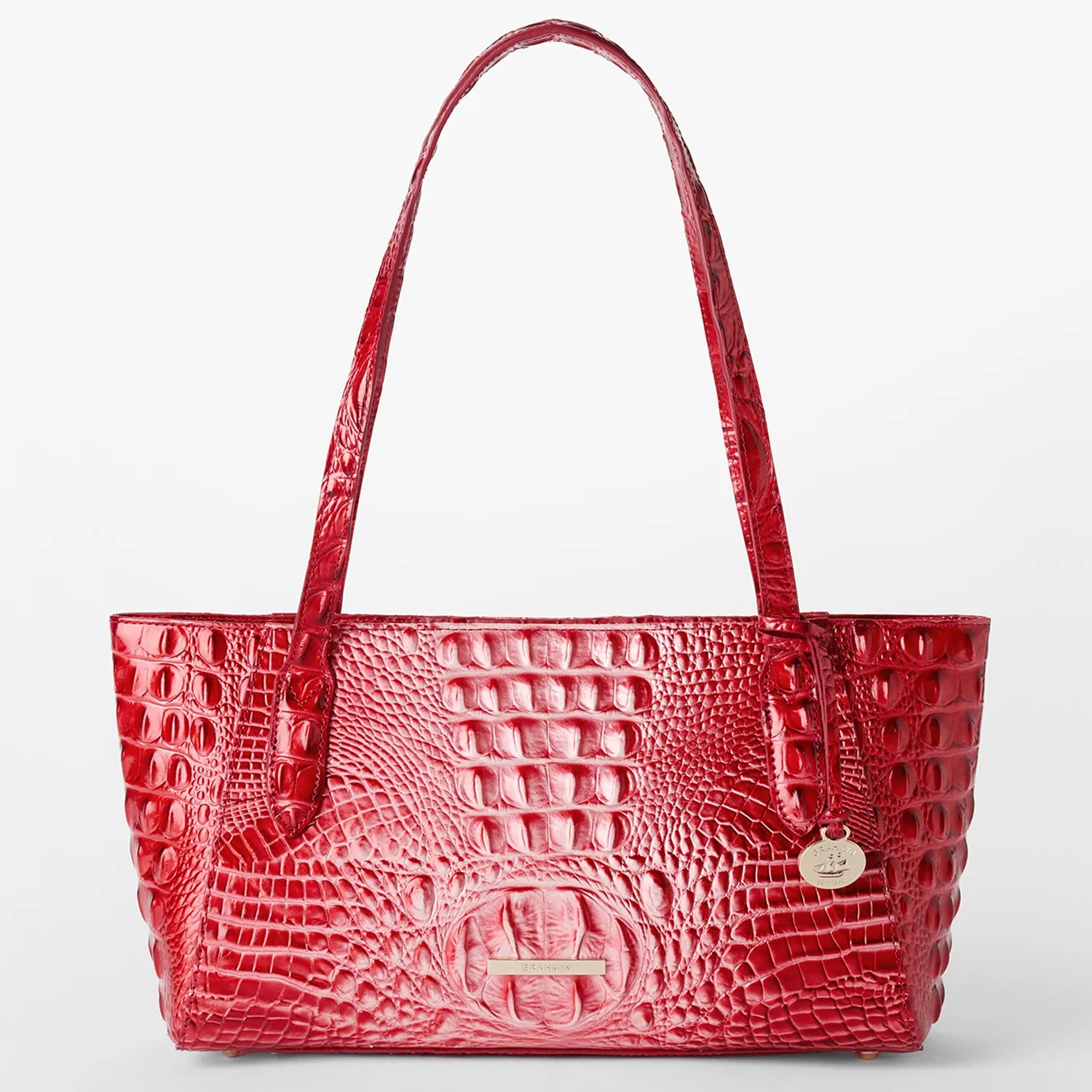 Tonya Bags Brahmin Totes Carryalls