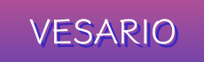 Vesario – Shop The Best Bags, Jewelry & Watches | Exclusive Offers & Free Shipping